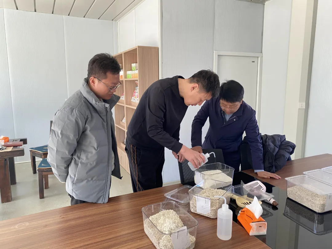 空间环境异味处置剂技术利用